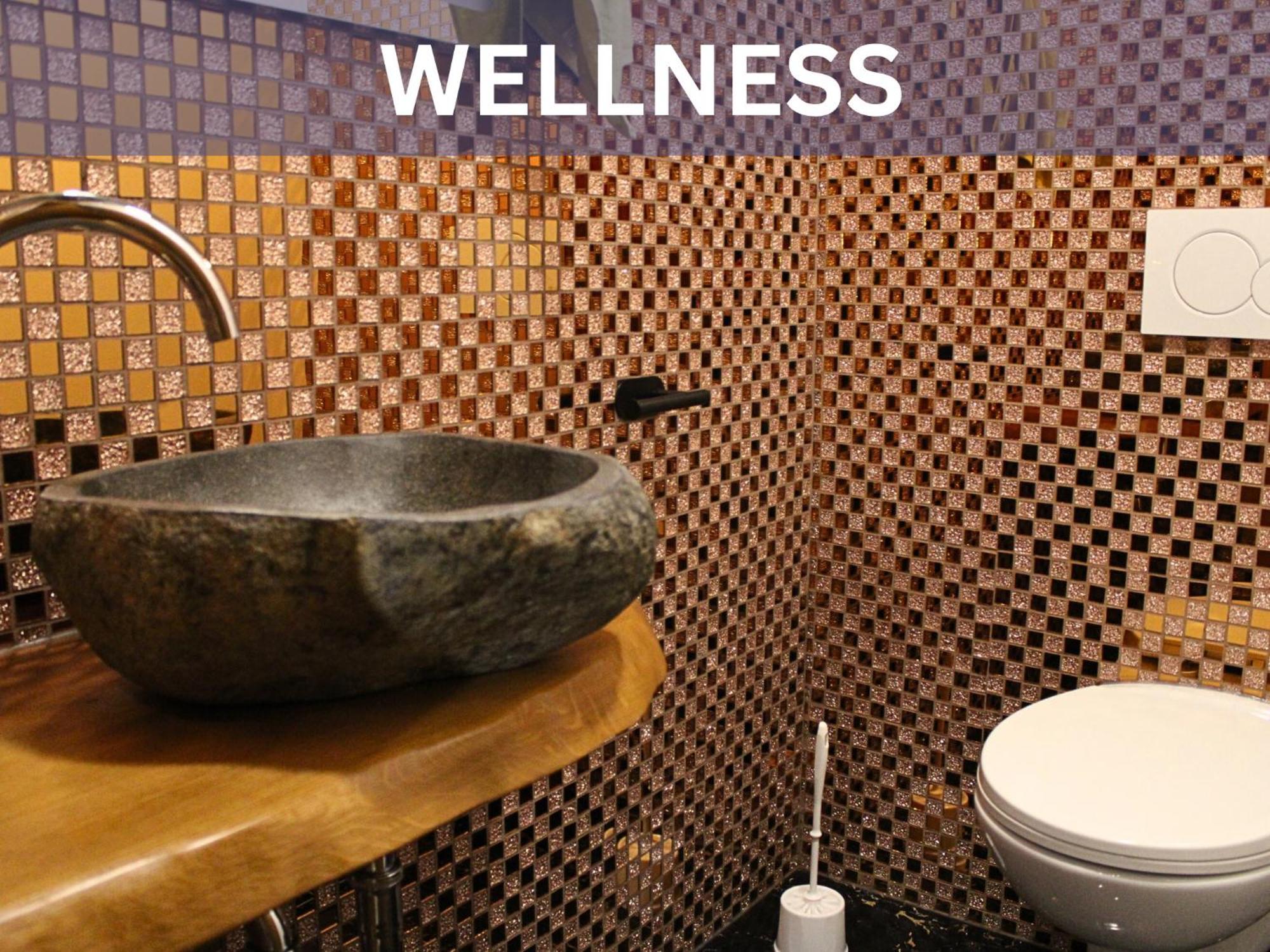 Apartments With Private Saunas & Wellness Gobi Podcetrtek Exterior photo